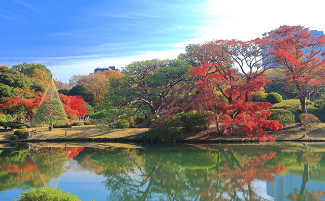 六義園のイメージ