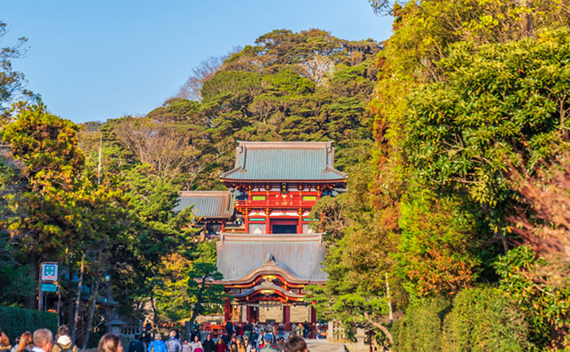 鶴岡八幡宮のイメージ