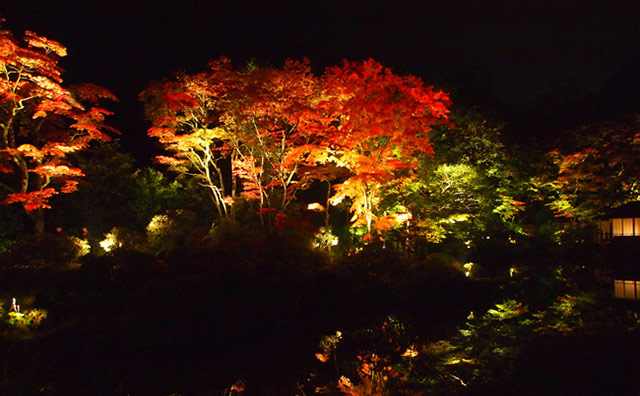 日光山輪王寺のライトアップのイメージ