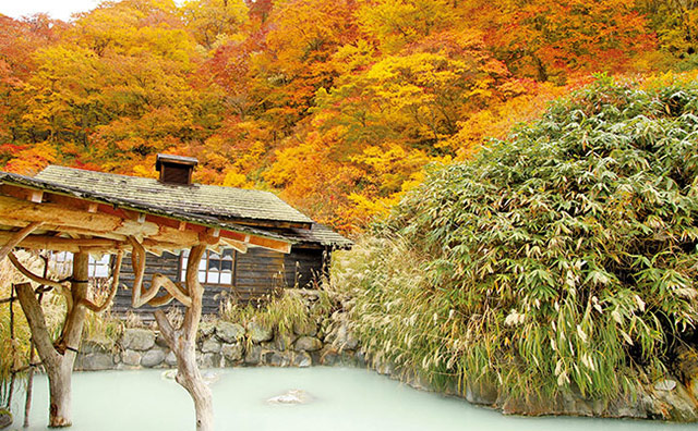 【関東・東北】温泉も紅葉も楽しみたい！列車で行く秋のよくばり旅の記事のイメージ
