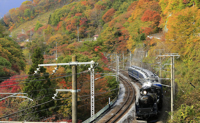 諏訪峡周辺　SLを楽しみながらの紅葉も格別のイメージ