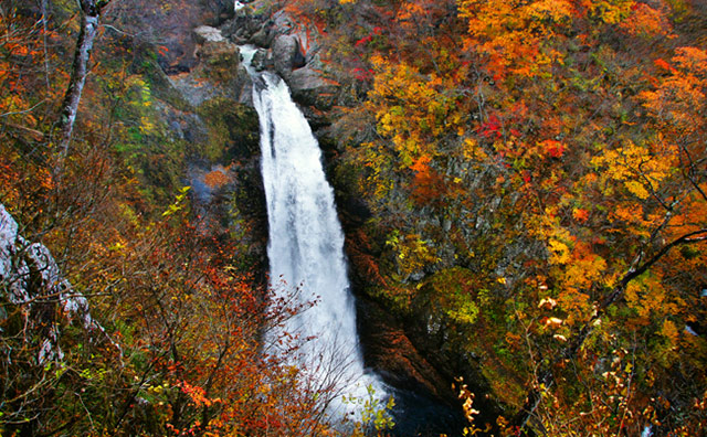 秋保大滝の紅葉のイメージ
