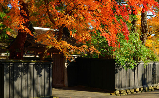 情緒溢れる武家屋敷の紅葉のイメージ