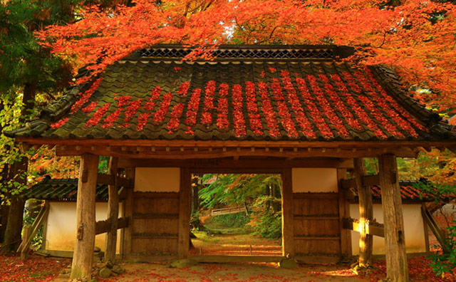 中尊寺 大長寿院のイメージ