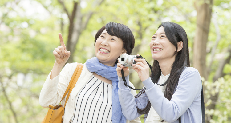 旅行に必要なものとは？国内旅行で必要なもの、あると便利なものを紹介！の記事のイメージ