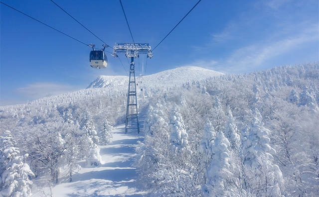 【冬の蔵王温泉】スキーや樹氷を楽しむ1泊2日の観光モデルコース