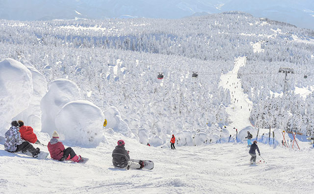 樹氷の合間でスキー・スノボを楽しめるのイメージ