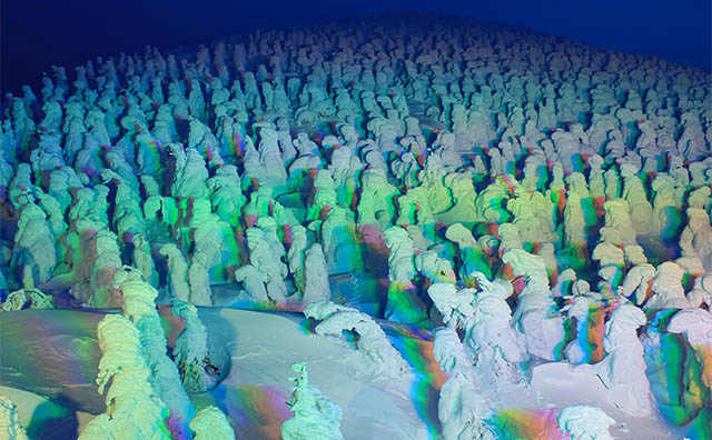 樹氷のライトアップ