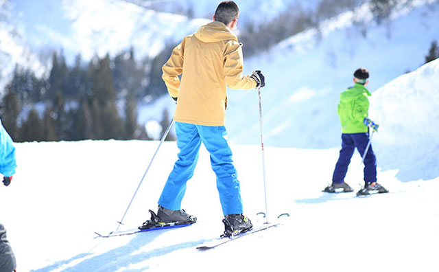 家族スキーにおすすめのゲレンデ（スキー場）のポイントとはのイメージ
