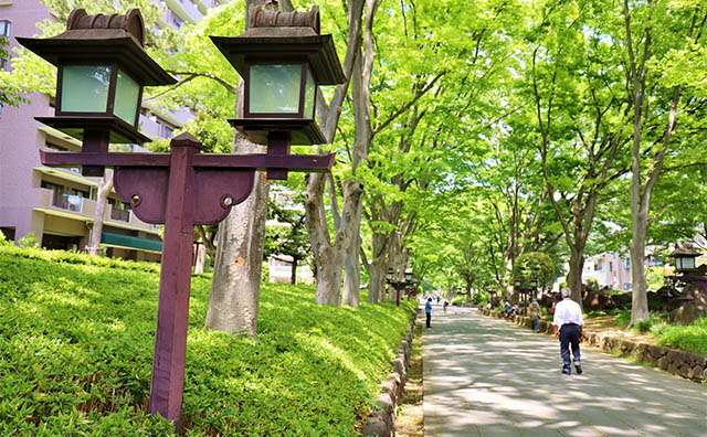 氷川参道