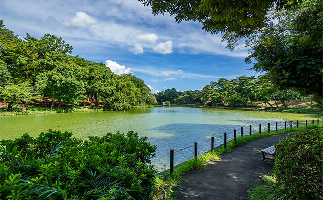 大宮公園（埼玉）