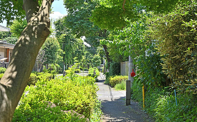大宮盆栽村