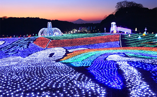 東京ドイツ村 イルミネーションのイメージ