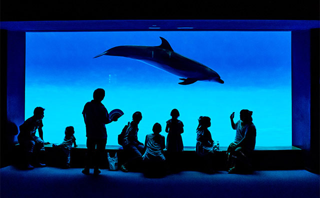 アクアワールド茨城県大洗水族館のイメージ