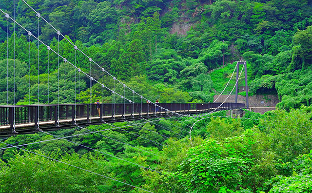 鬼怒楯岩大吊橋