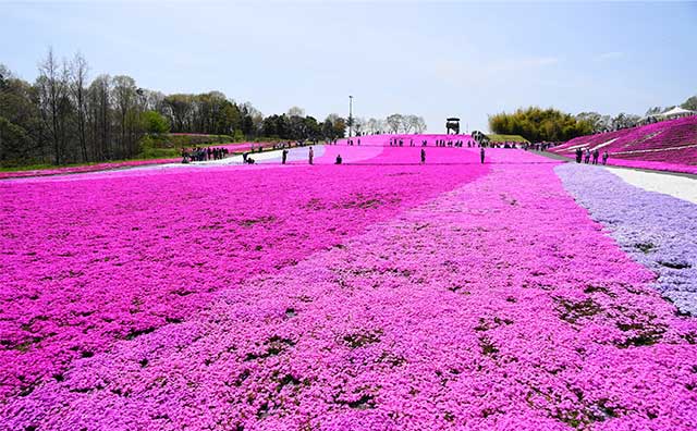 【GW旅行】穴場とは？ 混雑を回避して過ごせるスポット