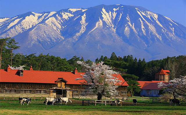 小岩井農場