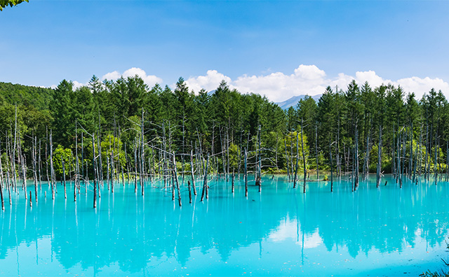 白金青い池【北海道】