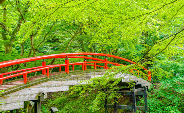 伊香保温泉 河鹿橋