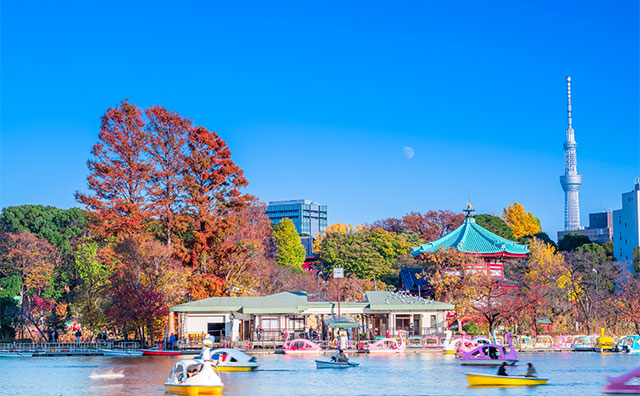 上野恩賜公園のイメージ