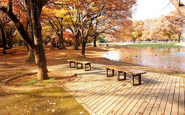 代々木公園