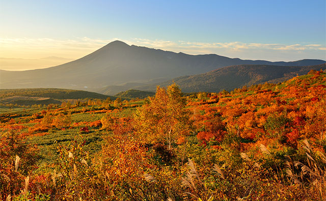 紅葉も登山も楽しめる山を紹介
のイメージ