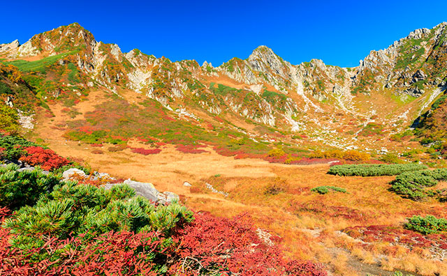 木曽駒ヶ岳 千畳敷カールの紅葉のイメージ