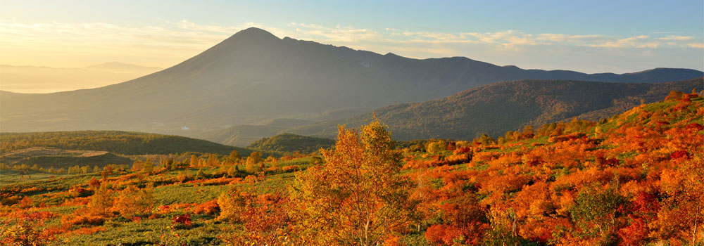 八幡平の紅葉のイメージ