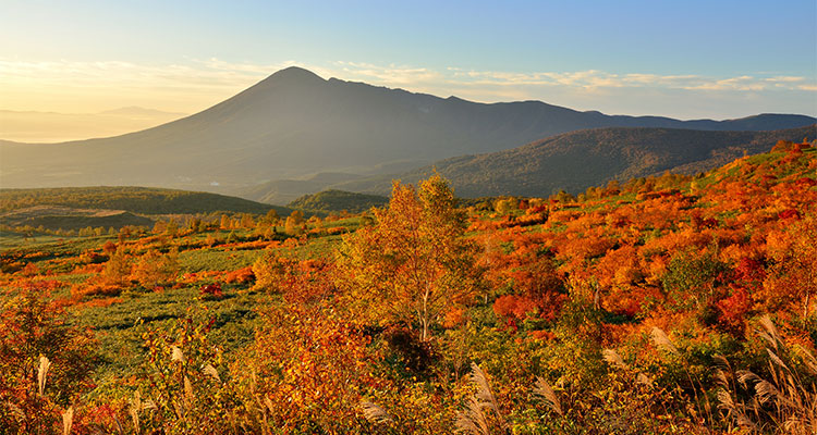 年 紅葉も登山も楽しめる山を紹介 びゅうトラベル Jr東日本