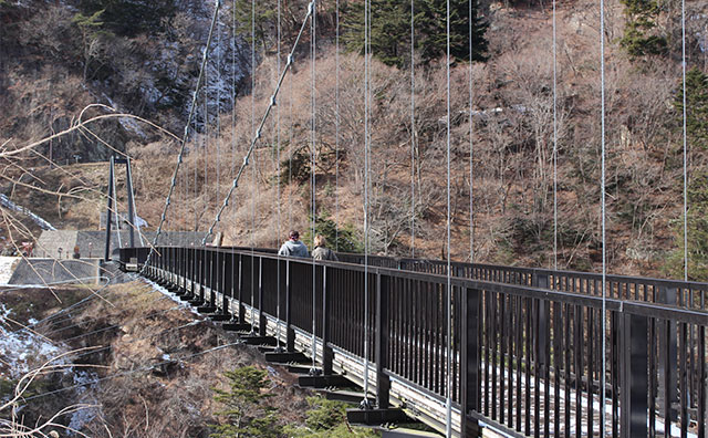 鬼怒楯岩大吊橋のイメージ