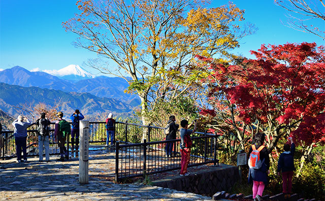 高尾山 眺望のイメージ