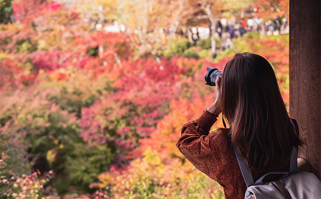 観光地を巡って心を癒すひとり旅のイメージ