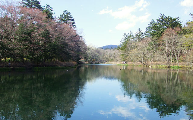 雲場池のイメージ