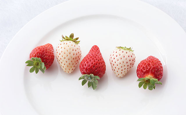 さまざまな品種の食べ比べのイメージ