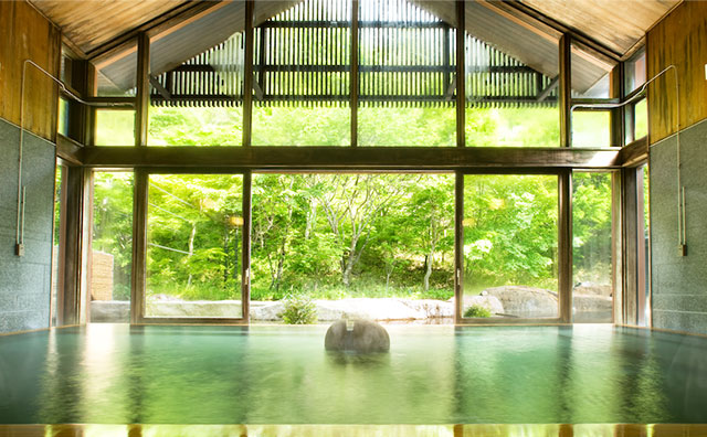 星野温泉 トンボの湯のイメージ