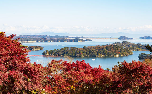 松島観光におすすめのコースを紹介