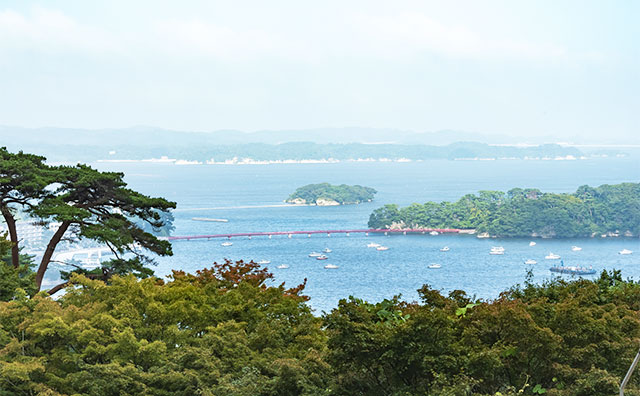 松島のイメージ