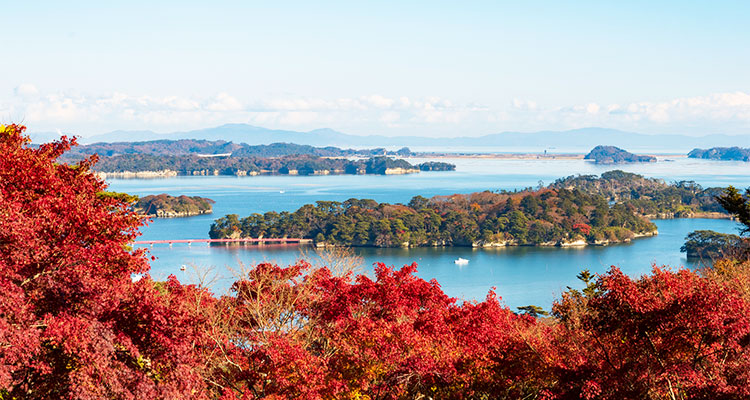 松島のイメージ