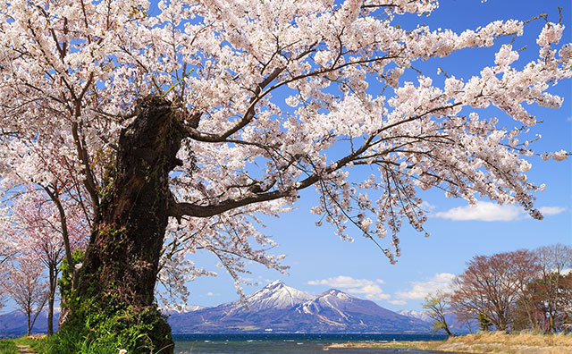 盤梯山のイメージ