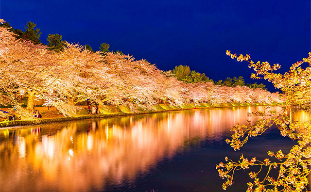 花見の名所が近くにある温泉施設のイメージ