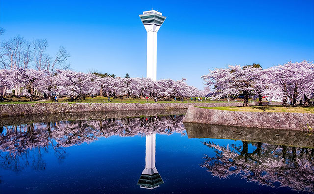 五稜郭公園のイメージ