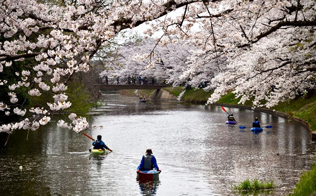 福岡堰（ふくおかぜき）のイメージ