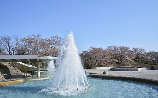 国営みちのく杜の湖畔公園のイメージ