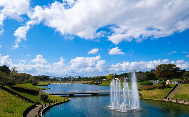 ひたち海浜公園の基本情報のイメージ