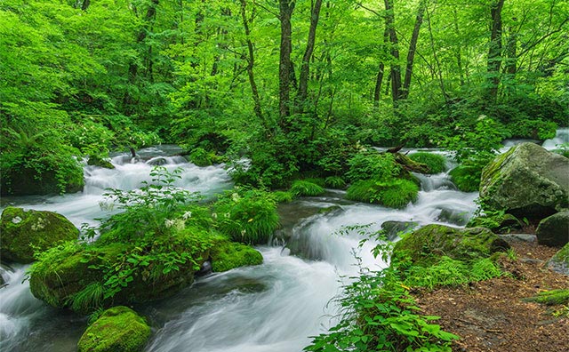 奥入瀬渓流のハイキングコース・見どころを紹介　気持ち良い景色と空気を堪能しようのイメージ