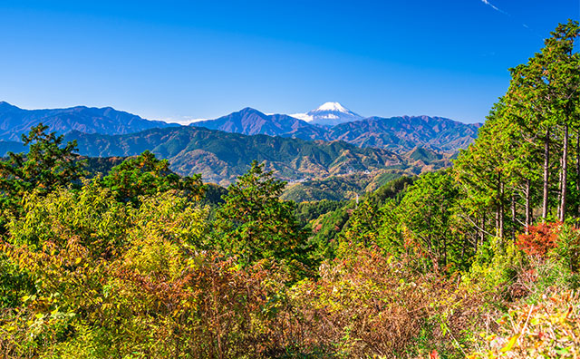 初心者におすすめの山の特徴のイメージ