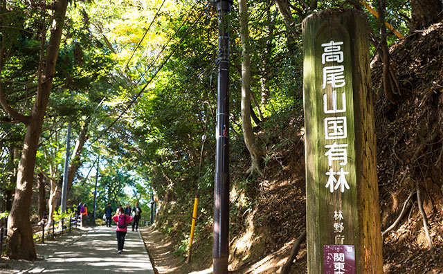 高尾山のイメージ