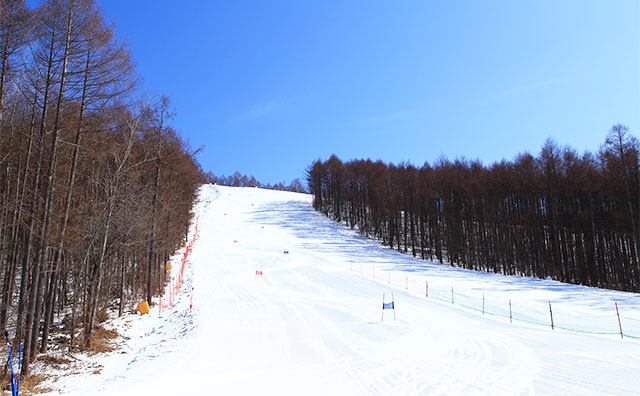 春スキーなら冬が終わっても滑れる！春スキーをするときのポイントやおすすめのスキー場を紹介
のイメージ