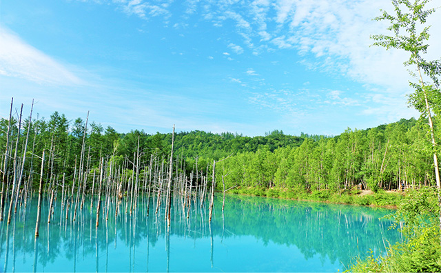 夏の絶景スポットはここで決まり！冒険家になった気分で存分に楽しもう！