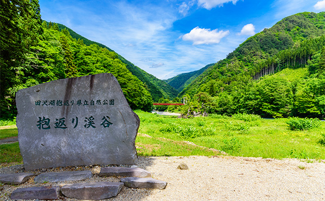 抱返り渓谷（だきがえりけいこく）（秋田県）